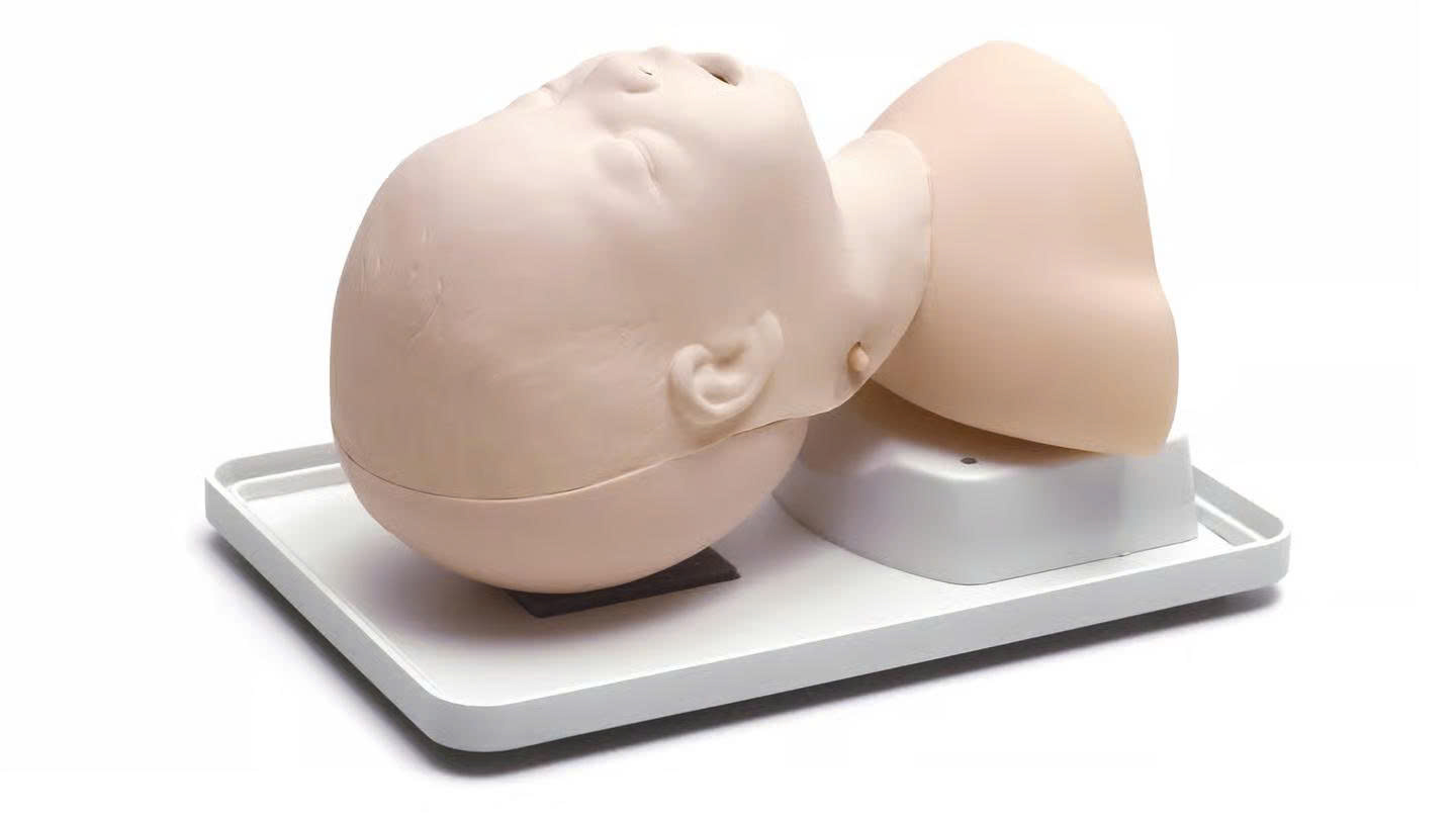 MODEL FOR INTUATION OF NEWBORN INFANT