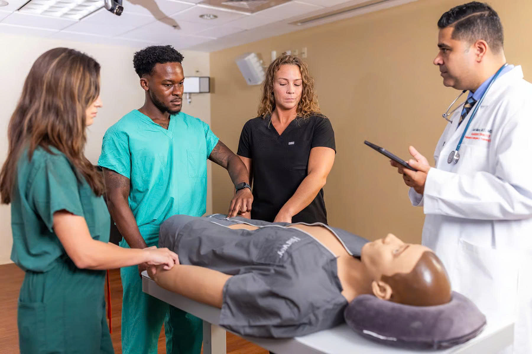 CARDIOVASCULAR SIMULATION