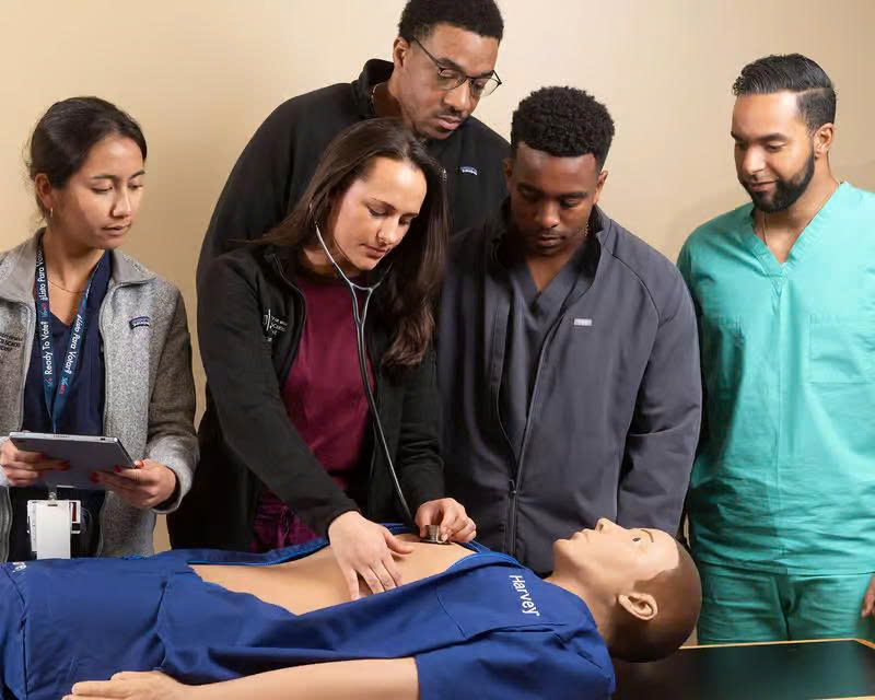 CARDIOVASCULAR SIMULATION