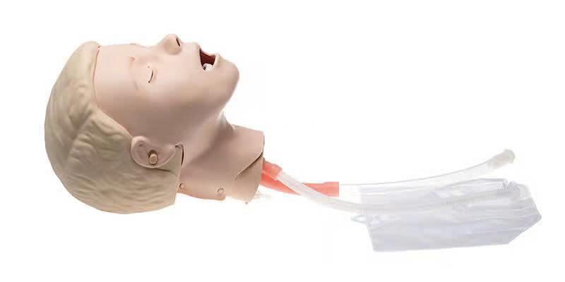 A CHILDREN'S EMERGENCY Circulatory Arrest Model ALLOWS INtubation