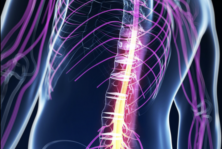 Phòng ngừa và điều trị chấn thương tủy sống